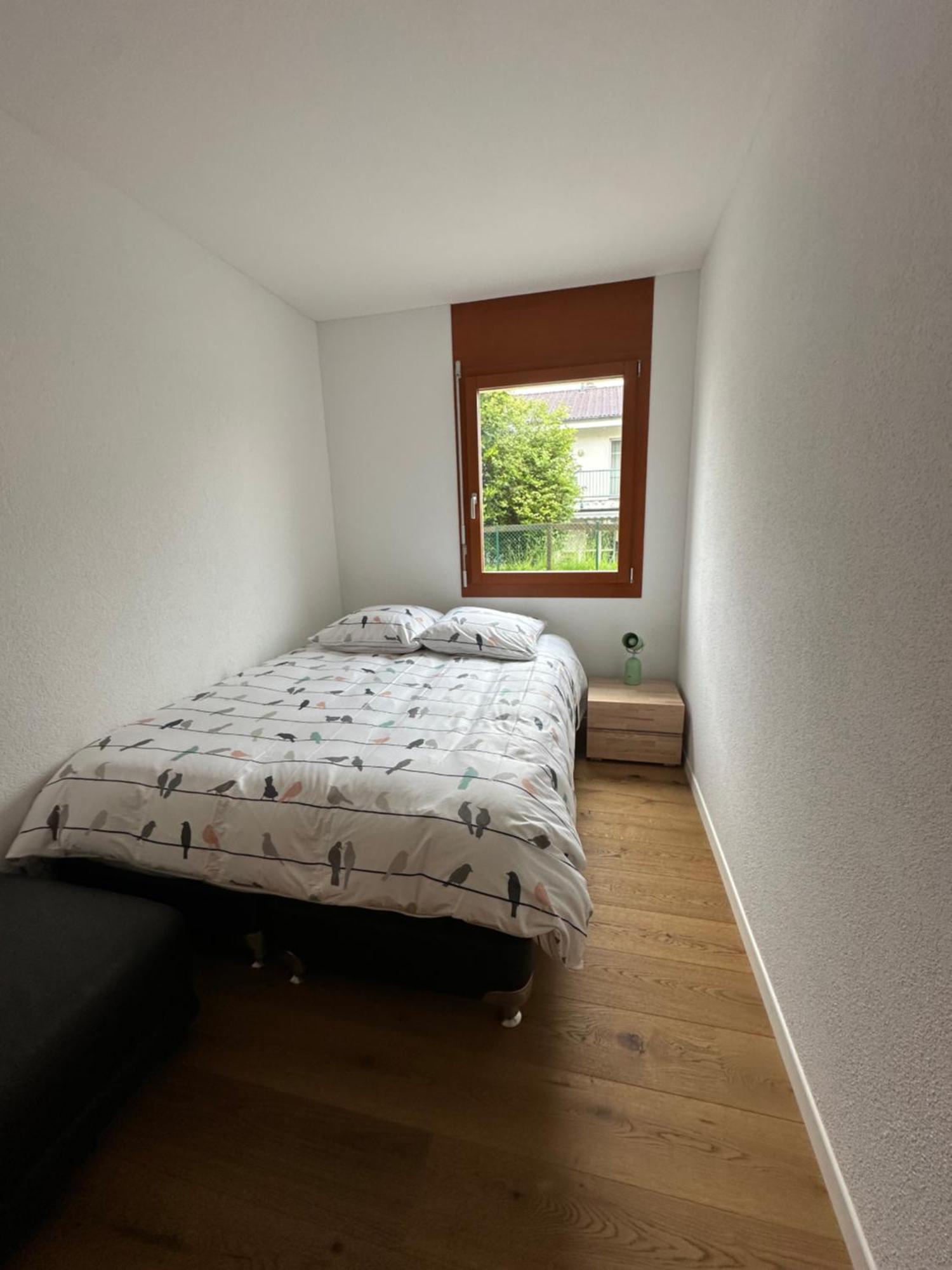 Komfortable Ferienwohnung In Beckenried, Nidwalden Εξωτερικό φωτογραφία